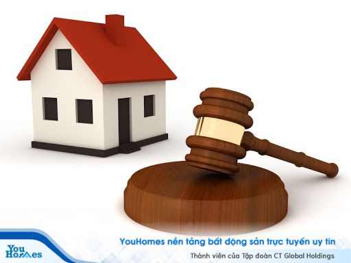 Việc lập các hoạch có tính chất chuyên môn, chuyên ngành phải tuân thủ các quy định của một số luật chuyên ngành.