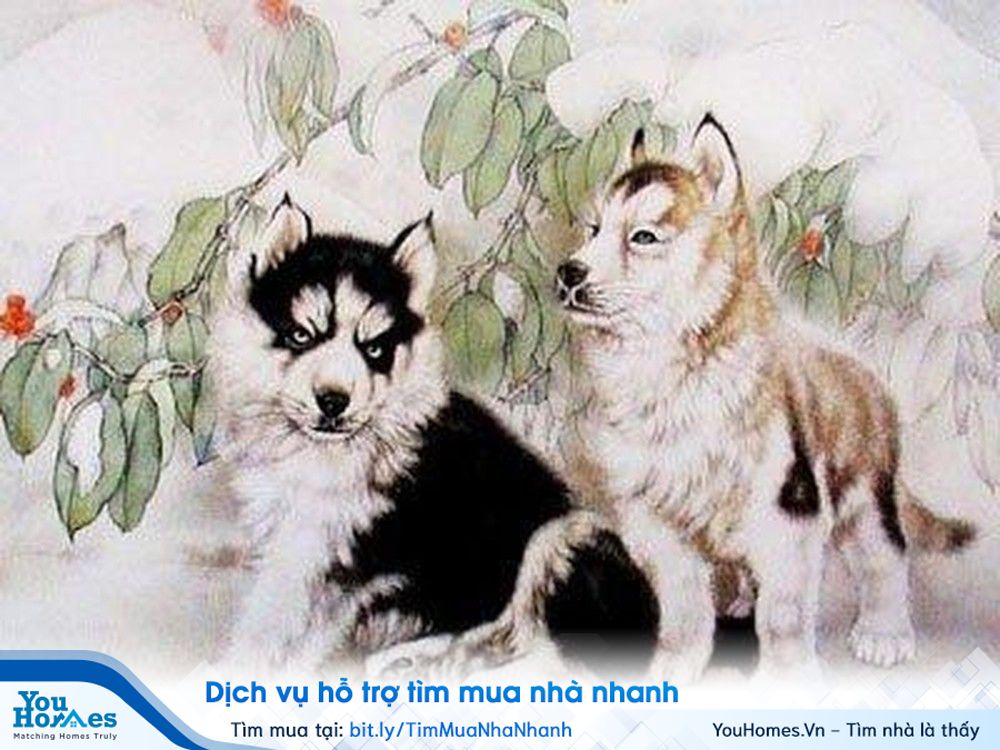 Người tuổi Mậu Tuất nên xây nhà hướng Tây. 