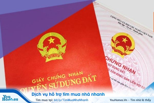 Căn hộ chung cư mini thường ít được cấp giấy giầy sở hữu căn hộ.