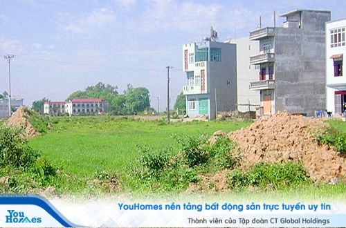 Đất trồng cây lâu năm là đất nông nghiệp, nên chỉ được sử dụng trong nông nghiệp như trồng trọt,…