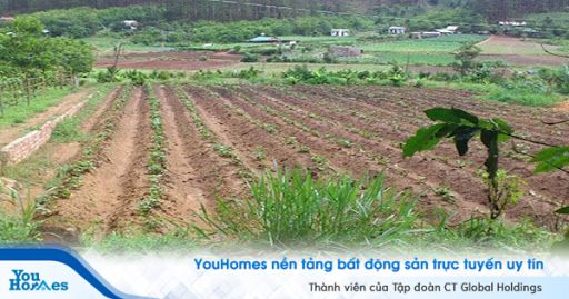 Đất phi nông nghiệp không phải là đất ở, nếu có đủ điều kiện được bồi thường theo quy định tại Điều 75 Luật Đất đai thì được bồi thường.