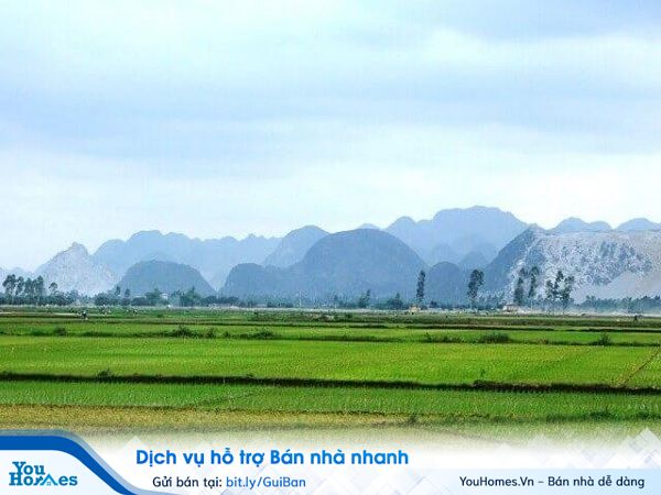 Đất nông nghiệp phải đáp ứng đầy đủ các điều kiện theo luật thì mới được phép mua bán.