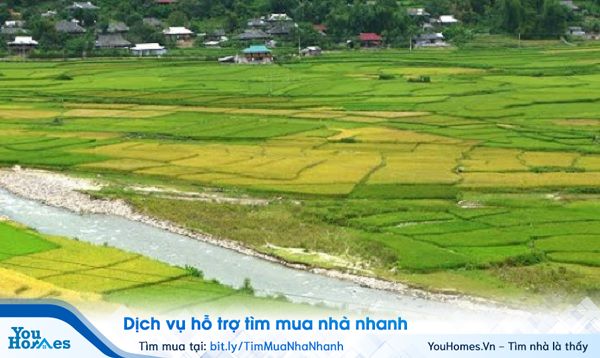 Những lưu ý trước khi tiến hành hợp đồng đặt cọc mua đất.