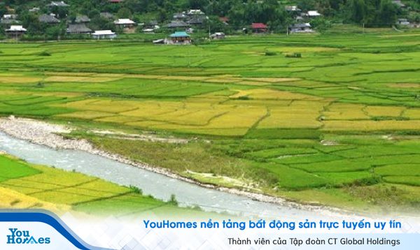 Những trường hợp cần viết đơn xin chuyển mục đích sử dụng đất.