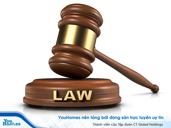 Nộp thuế vừa là quyền đồng thời cũng là nghĩa vụ của công dân.