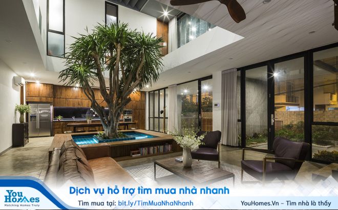 Cây xanh là một yếu tố không thể thiếu cho mỗi căn nhà.