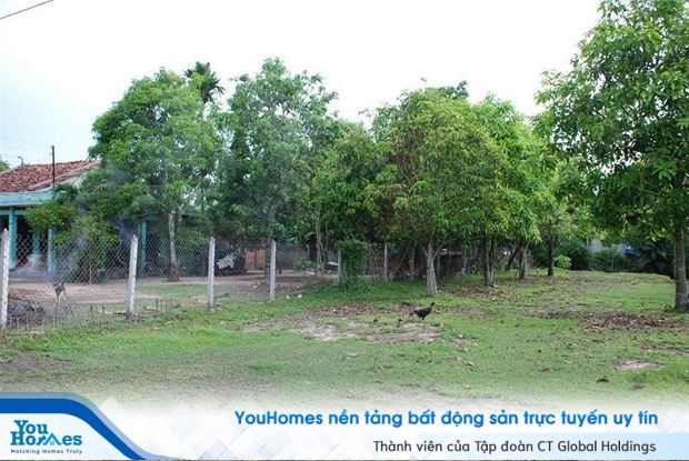 Cách tính phí sử dụng đất khi chuyển đổi đất vườn sang đất ở được chia làm 2 trường hợp.