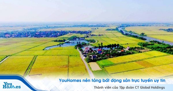 Đất trồng cây lâu năm là loại đất thuộc nhóm đất nông nghiệp. 