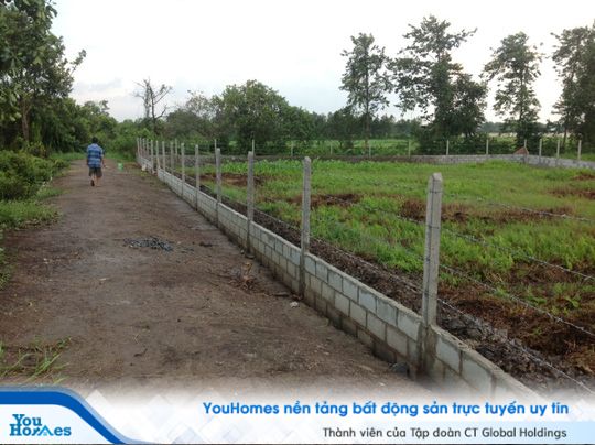 Đất vườn là loại hình đất được sử dụng để trồng cây lâu năm hay trồng hoa màu.