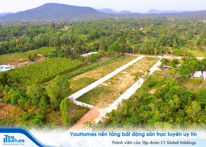 Đất trồng cây lâu năm có thời hạn sử dụng được căn cứ trong Luật Đất đai 2013 là không quá 50 năm. 