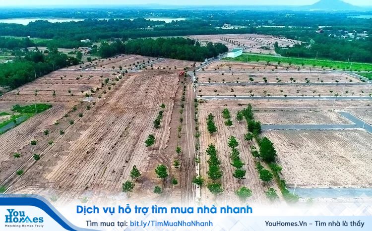 Khi mua bán bất động sản bạn luôn cần tìm hiểu kỹ thông tin về mảnh đất đó nhất là thông tin về quy hoạch.