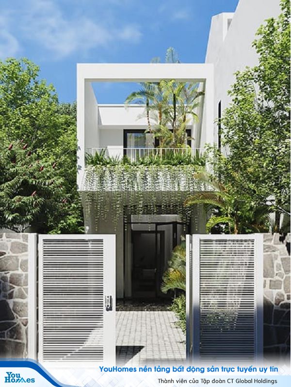 Đưa không gian thiên nhiên xanh mát vào mẫu nhà 2 tầng mặt tiền 6m.