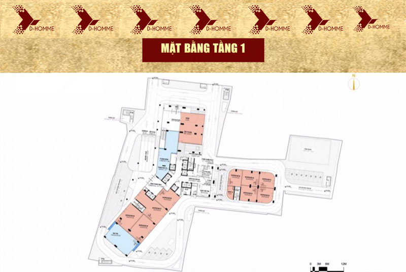 Chung cư D - Homme