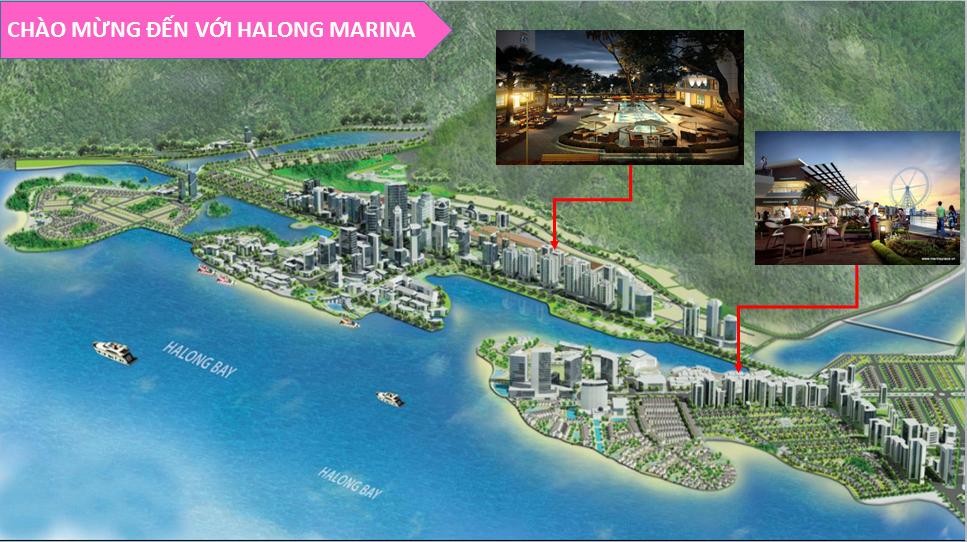 Khu đô thị Hạ Long Marina