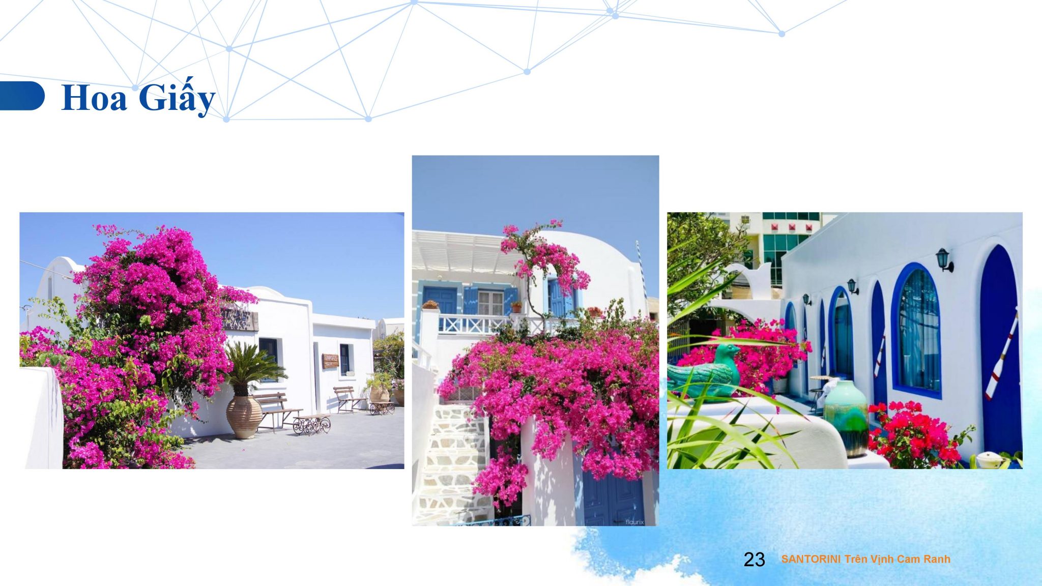 Somerset Cam Ranh Bay Condotel & Villas