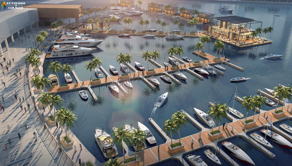 Para Draco - KN Paradise Cam Ranh