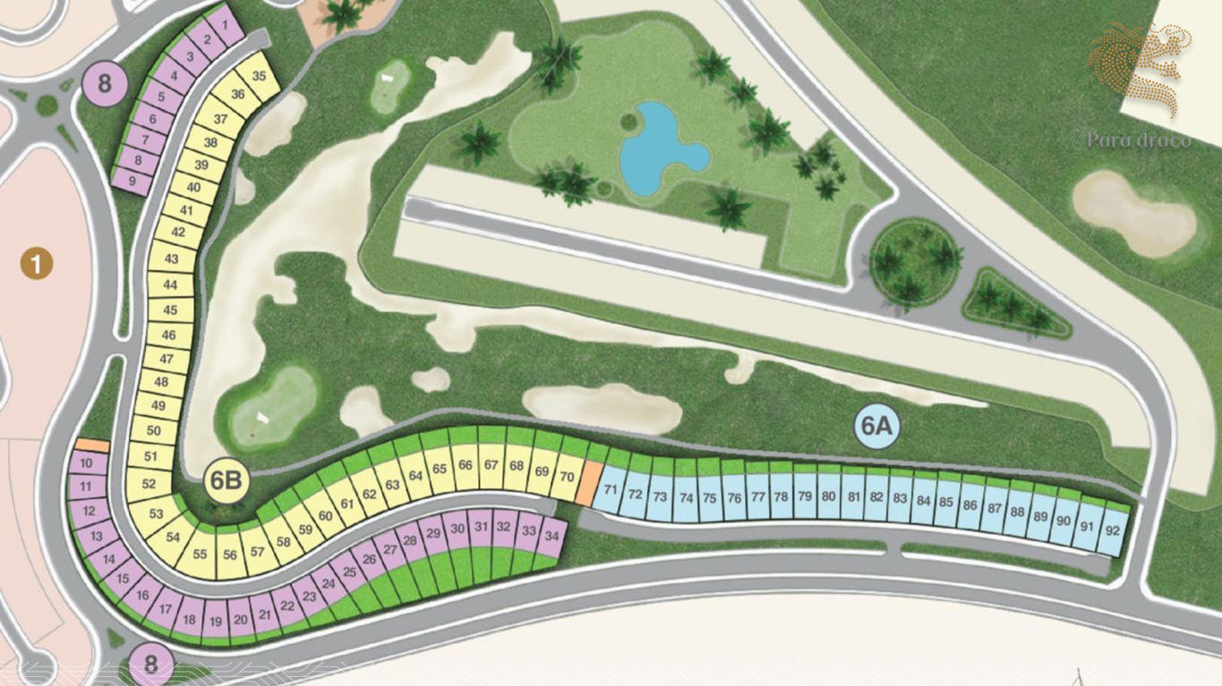 Para Draco - KN Paradise Cam Ranh