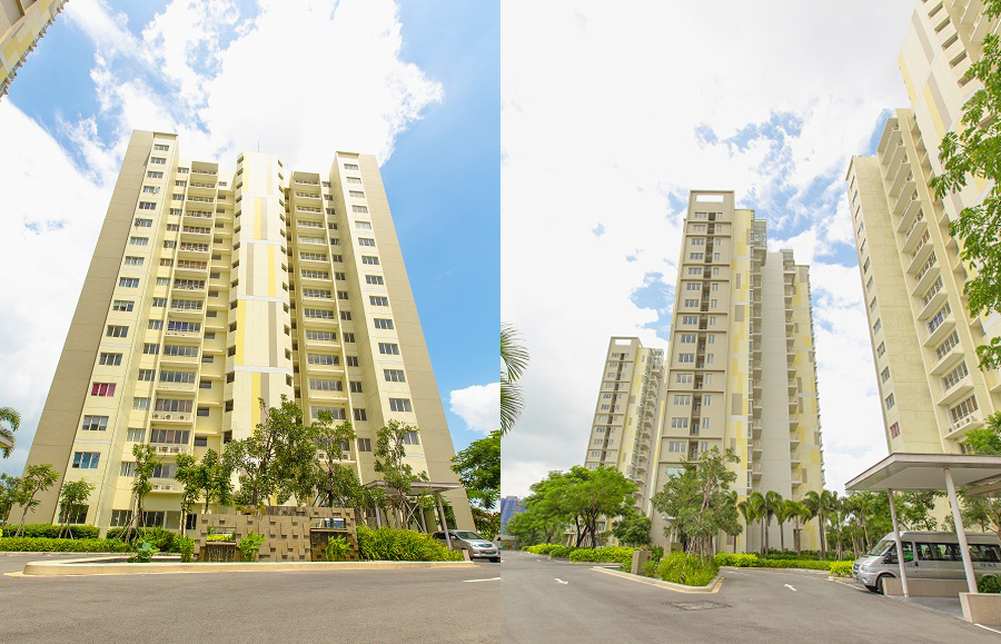 The Canary Heights