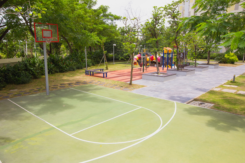 The Canary Heights