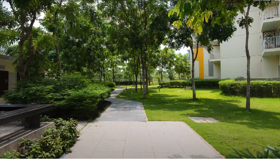 The Canary Heights