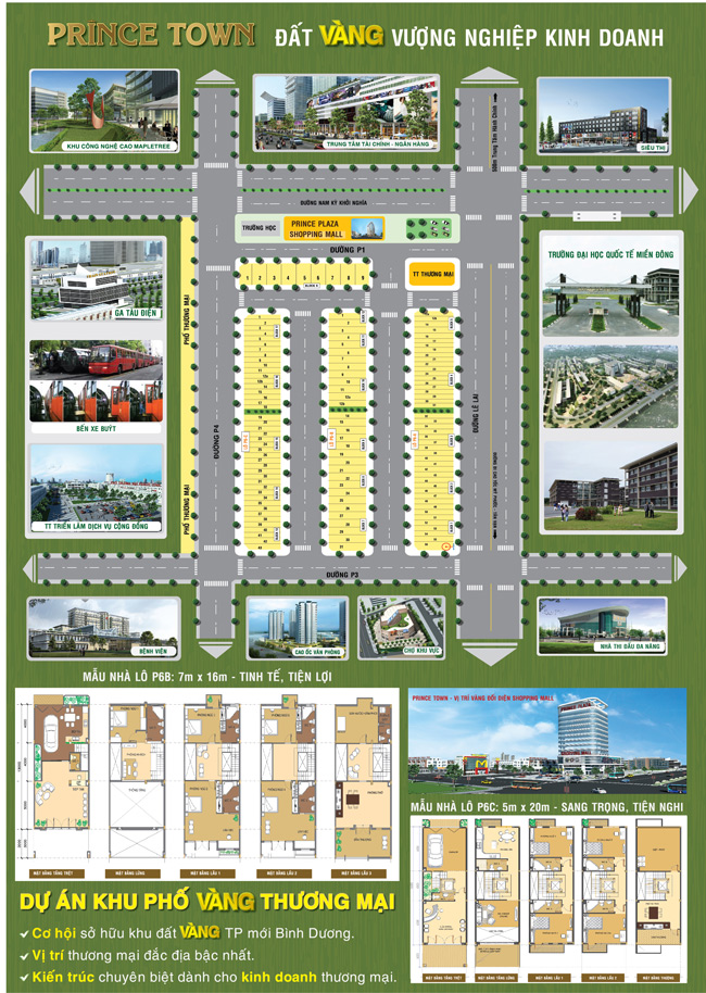 Phố thương mại Prince Town