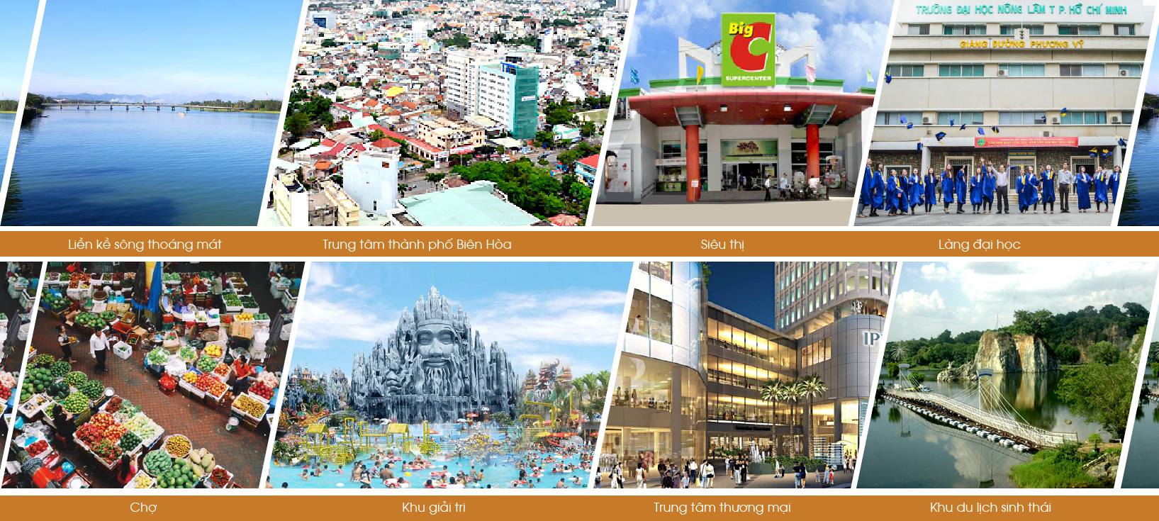 Khu biệt thự The Pegasus Residence