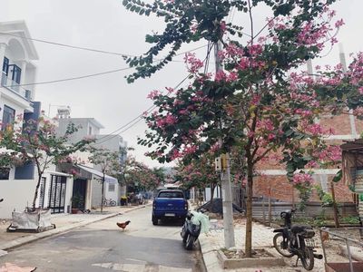 Khu phố chợ Miếu Bông