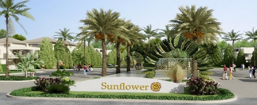 Khu biệt thự Sunflower