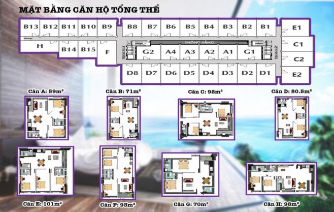 Chung cư Sơn Thịnh 3